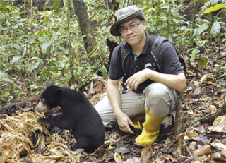 30pc decline in sun bear due to habitat loss and poaching 